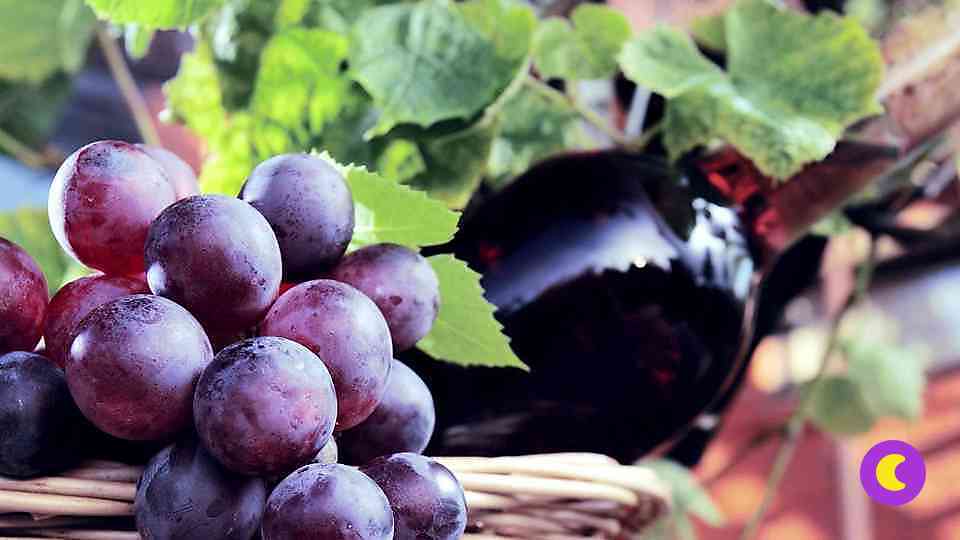 Виноградные косточки поддержат сердце